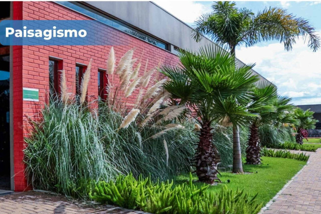 Imagem Casa com 3 Quartos à Venda, 198 m² em Cancelli - Cascavel