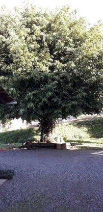 Imagem Casa com 4 Quartos à Venda, 194 m² em América - Joinville Imagem Casa com 4 Quartos à Venda, 194 m² em América - Joinville