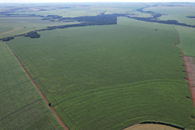 Imagem Fazenda à Venda, 540 m² em Zona Rural - Munhoz De Melo