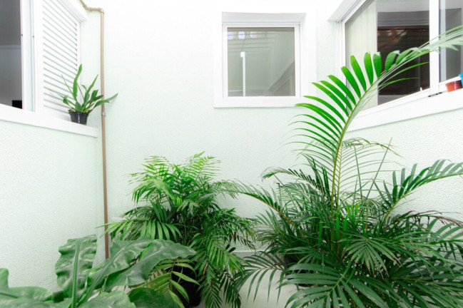 Imagem Casa com 3 Quartos à Venda, 121 m² em Ipiranga - São Paulo Imagem Casa com 3 Quartos à Venda, 121 m² em Ipiranga - São Paulo