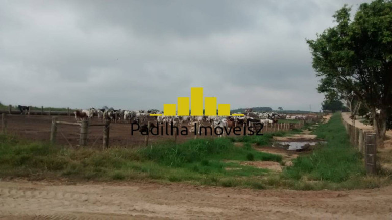 Imagem Chácara à Venda, 365 m² em Itapetininga