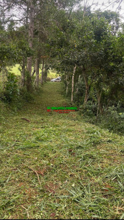 Imagem Chácara à Venda, 30 m² em Souza - Monteiro Lobato Imagem Chácara à Venda, 30 m² em Souza - Monteiro Lobato