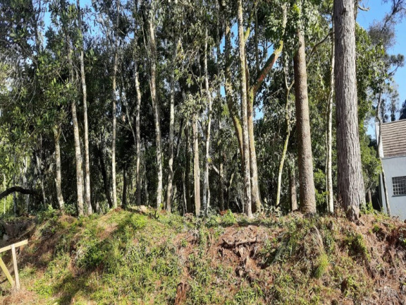 Terreno à Venda, 811 m² em Germânia - Nova Petrópolis