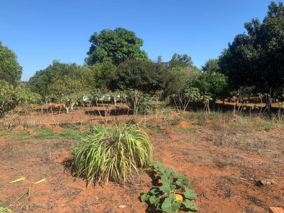 Imagem Chácara com 3 Quartos à Venda, 3.000 m² em Chacaras Reunidas - Pilar Do Sul Imagem Chácara com 3 Quartos à Venda, 3.000 m² em Chacaras Reunidas - Pilar Do Sul