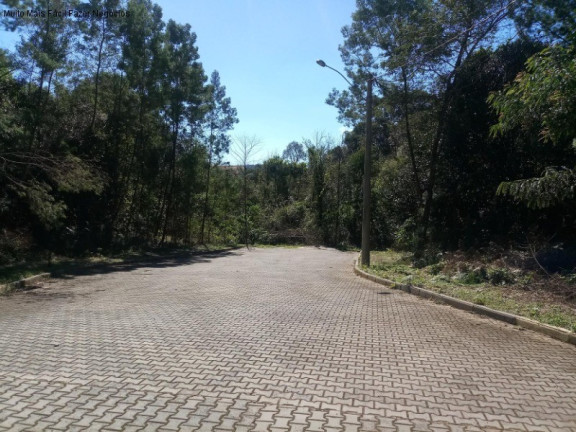 Imagem Terreno à Venda, 1.517 m² em Juriti - Nova Petrópolis Imagem Terreno à Venda, 1.517 m² em Juriti - Nova Petrópolis