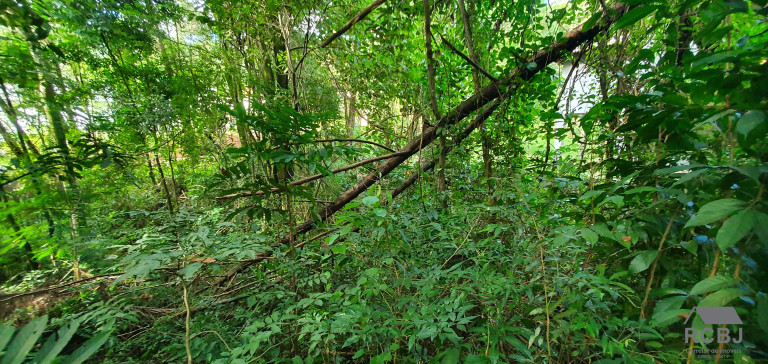 Imagem Terreno à Venda, 1.000 m² em Retiro Do Chalé - Brumadinho