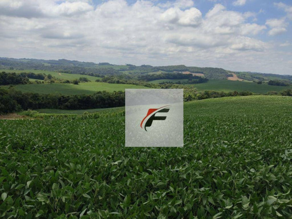 Imagem Chácara com 3 Quartos à Venda, 120 m² em Zona Rural - Lapa Imagem Chácara com 3 Quartos à Venda, 120 m² em Zona Rural - Lapa