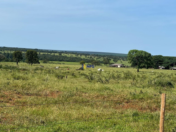 Imagem Chácara à Venda, em área Rural De Uberlândia - Uberlândia Imagem Chácara à Venda, em área Rural De Uberlândia - Uberlândia