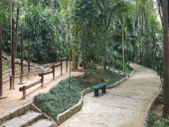 Imagem Imóvel com 3 Quartos à Venda, 159 m² em Jardim Aeroporto - São Paulo Imagem Imóvel com 3 Quartos à Venda, 159 m² em Jardim Aeroporto - São Paulo