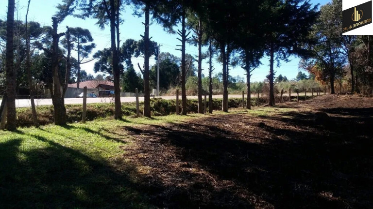 Imóvel com 3 Quartos à Venda, 24.636 m² em Pr 419 - Mandirituba