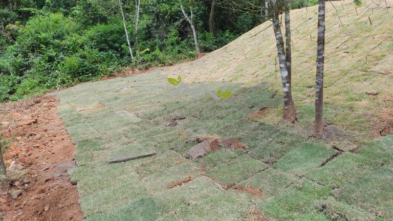 Imagem Terreno à Venda, 1 m² em Recanto Das Araucárias - Campos Do Jordão Imagem Terreno à Venda, 1 m² em Recanto Das Araucárias - Campos Do Jordão