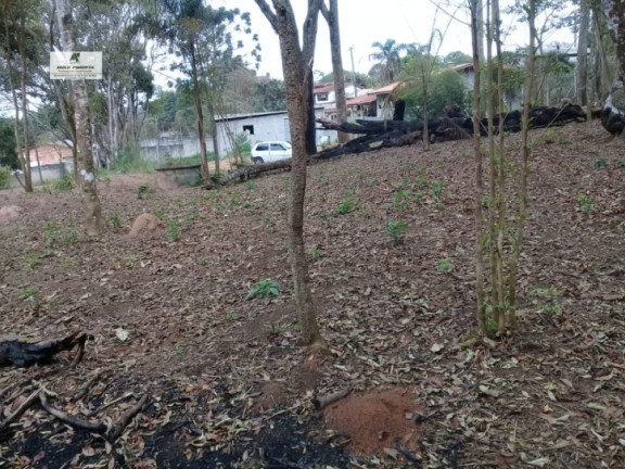 Ponto Comercial à Venda, 1.314 m² em Jardim Japão (caucaia Do Alto) - Cotia
