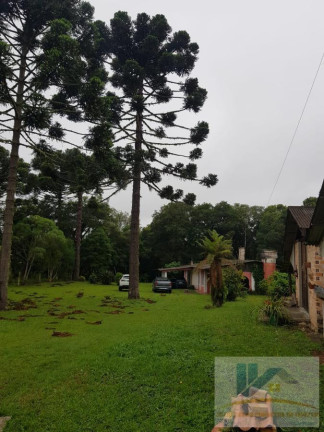 Imagem Chácara com 4 Quartos à Venda, 250 m² em Contenda - São José Dos Pinhais Imagem Chácara com 4 Quartos à Venda, 250 m² em Contenda - São José Dos Pinhais
