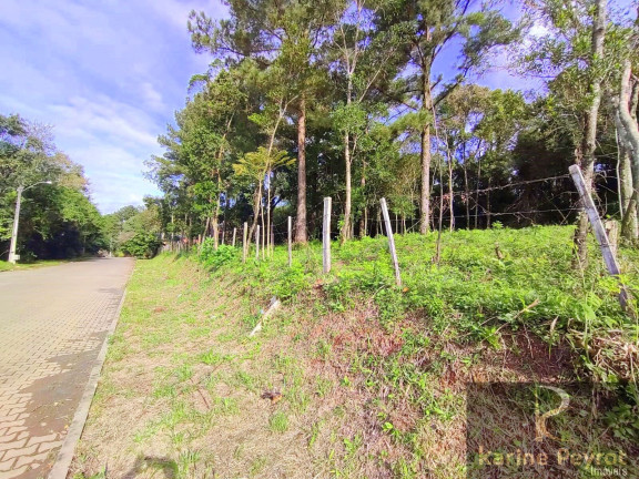 Imagem Terreno à Venda, 250 m² em Campestre - São Leopoldo Imagem Terreno à Venda, 250 m² em Campestre - São Leopoldo