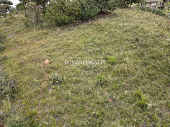 Imagem Terreno à Venda, 2.080 m² em Região Do Vale Encantado - Campos Do Jordão Imagem Terreno à Venda, 2.080 m² em Região Do Vale Encantado - Campos Do Jordão