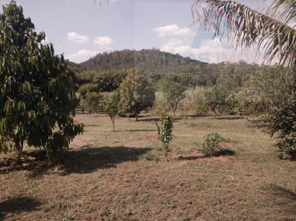 Imagem Chácara com 2 Quartos à Venda, 4.326 m² em Azurita Imagem Chácara com 2 Quartos à Venda, 4.326 m² em Azurita