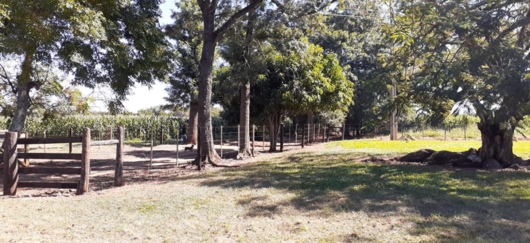 Imagem Fazenda à Venda, 158 m² em Rural - Avaré Imagem Fazenda à Venda, 158 m² em Rural - Avaré