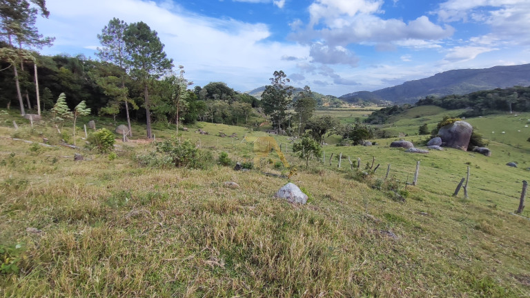 Imagem Fazenda à Venda, em Canguiri - Imaruí Imagem Fazenda à Venda, em Canguiri - Imaruí