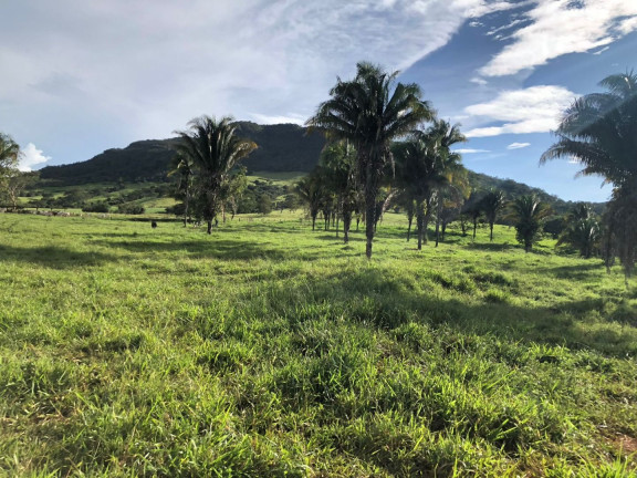 Imagem Fazenda à Venda, 6.050.000 m² em Zona Rural - Cocalzinho De Goiás Imagem Fazenda à Venda, 6.050.000 m² em Zona Rural - Cocalzinho De Goiás