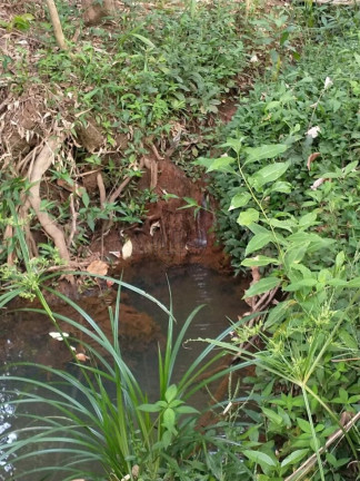 Imagem Fazenda à Venda, 40.000 m² em Ponte Alta Norte (gama) - Brasília Imagem Fazenda à Venda, 40.000 m² em Ponte Alta Norte (gama) - Brasília