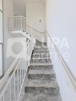 Imagem Apartamento com 2 Quartos à Venda, 61 m² em Jardim São Paulo - São Paulo Imagem Apartamento com 2 Quartos à Venda, 61 m² em Jardim São Paulo - São Paulo