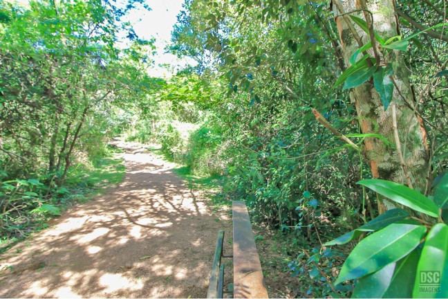 Imagem Terreno à Venda, 1.563 m² em Aberta Dos Morros - Porto Alegre Imagem Terreno à Venda, 1.563 m² em Aberta Dos Morros - Porto Alegre