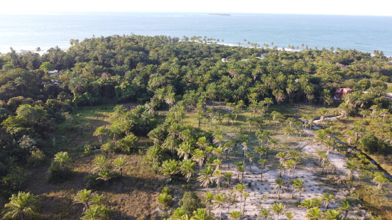 Imagem Terreno à Venda, 2.900 m² em Barra Grande - Marau Imagem Terreno à Venda, 2.900 m² em Barra Grande - Marau