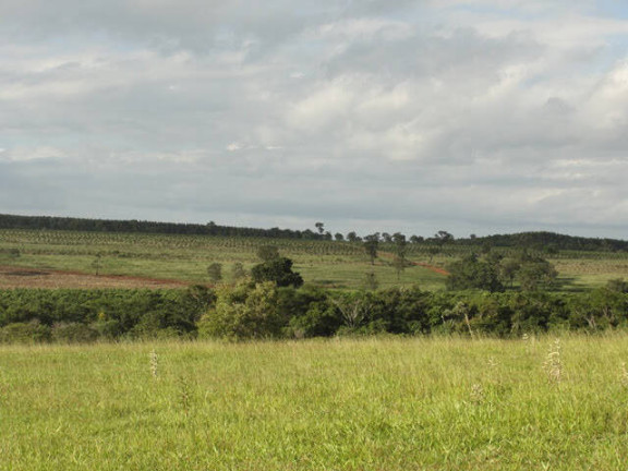 Imagem Fazenda à Venda, 41.140.000 m² em Zona Rural - Angatuba Imagem Fazenda à Venda, 41.140.000 m² em Zona Rural - Angatuba
