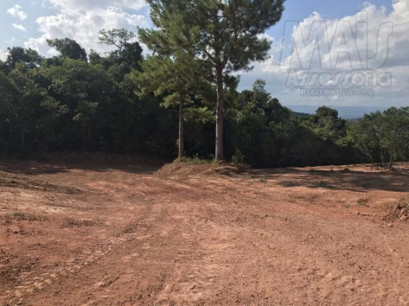Imagem Terreno à Venda,  em Lomba Grande - Novo Hamburgo