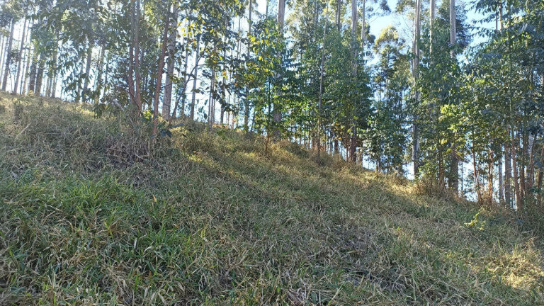 Imagem Chácara com 2 Quartos à Venda, 100 m² em Centro - Paraibuna Imagem Chácara com 2 Quartos à Venda, 100 m² em Centro - Paraibuna