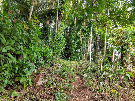 Imagem Terreno à Venda, 900 m² em América - Joinville Imagem Terreno à Venda, 900 m² em América - Joinville
