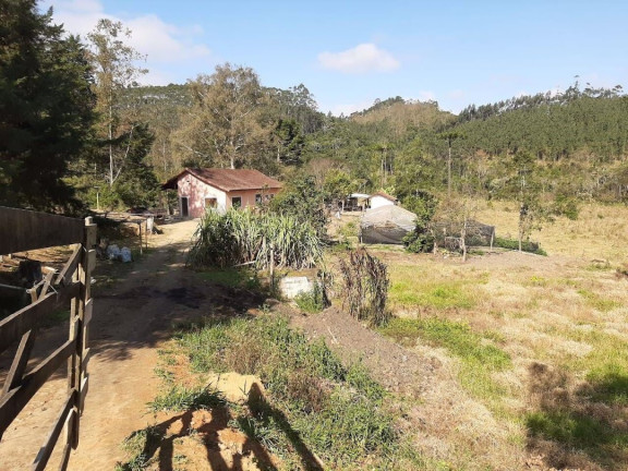 Imagem Fazenda à Venda, 1.100.000 m² em Centro - Paraibuna Imagem Fazenda à Venda, 1.100.000 m² em Centro - Paraibuna