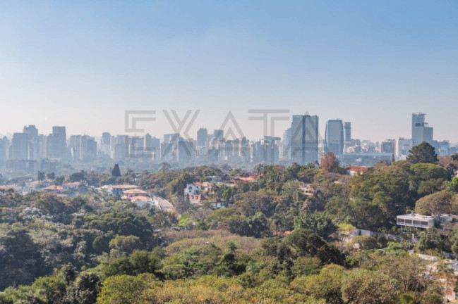 Imagem Imóvel com 4 Quartos à Venda, 648 m² em Cidade Jardim - São Paulo Imagem Imóvel com 4 Quartos à Venda, 648 m² em Cidade Jardim - São Paulo