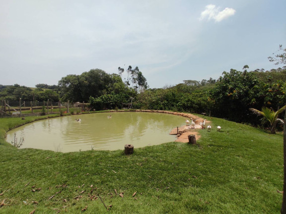 Imagem Chácara com 3 Quartos à Venda, 5.000 m² em Margens Da Raposo Tvares - Alambari Imagem Chácara com 3 Quartos à Venda, 5.000 m² em Margens Da Raposo Tvares - Alambari