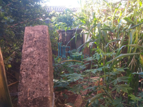 Imagem Casa com 2 Quartos à Venda, 100 m² em Jardim Jóquei Clube - Ribeirão Preto Imagem Casa com 2 Quartos à Venda, 100 m² em Jardim Jóquei Clube - Ribeirão Preto
