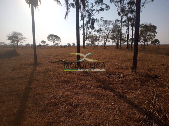 Imagem Fazenda à Venda, 72 m² em Iturama Imagem Fazenda à Venda, 72 m² em Iturama