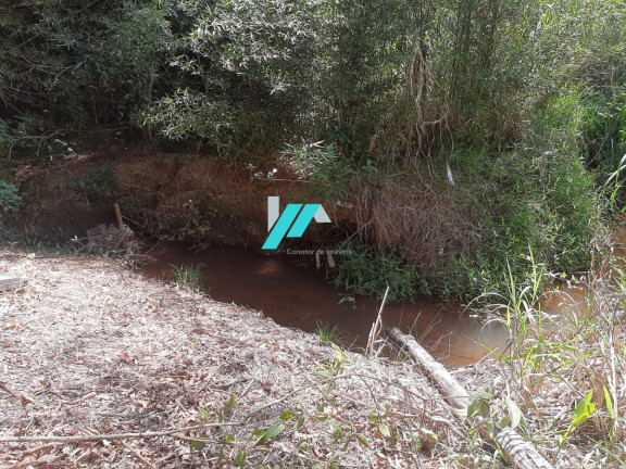 Imagem Fazenda à Venda, 5.000 m² em Zona Rural - Piracema Imagem Fazenda à Venda, 5.000 m² em Zona Rural - Piracema