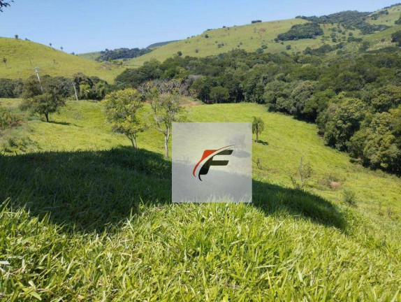 Imagem Fazenda à Venda, 471.900 m² em Zona Rural - Palmital Imagem Fazenda à Venda, 471.900 m² em Zona Rural - Palmital