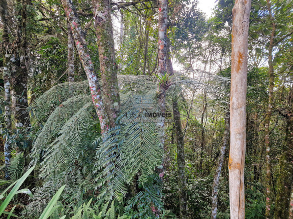 Terreno à Venda, 1 m² em Alto Capivari - Campos Do Jordão