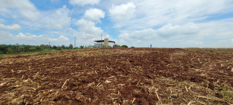 Imagem Imóvel à Venda, 242.000 m² em Centro - Itapetininga Imagem Imóvel à Venda, 242.000 m² em Centro - Itapetininga