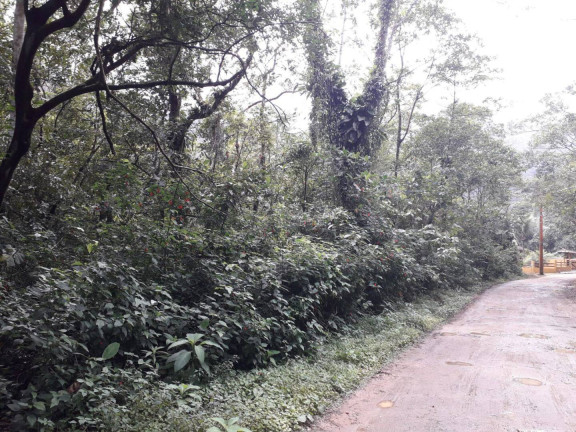 Terreno à Venda, 1.100 m² em Verde Mar - Caraguatatuba