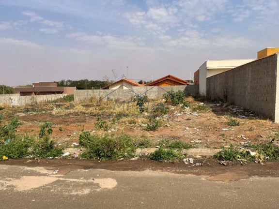 Imagem Terreno à Venda, 250 m² em Jardim Milenium - Pirassununga Imagem Terreno à Venda, 250 m² em Jardim Milenium - Pirassununga