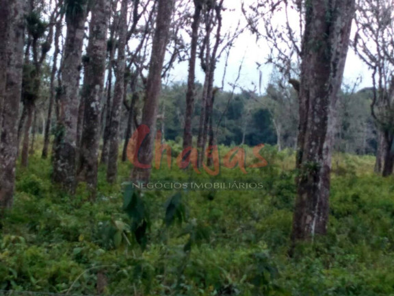 Imagem Terreno à Venda, 30.500 m² em Pegorelli - Caraguatatuba
