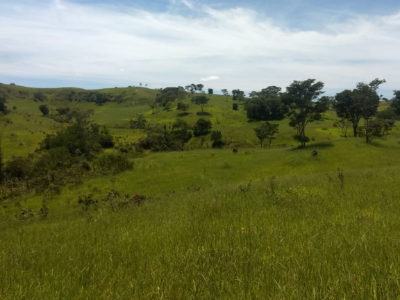 Imagem Chácara à Venda, 400.000 m² em Barreiro - Taubaté Imagem Chácara à Venda, 400.000 m² em Barreiro - Taubaté