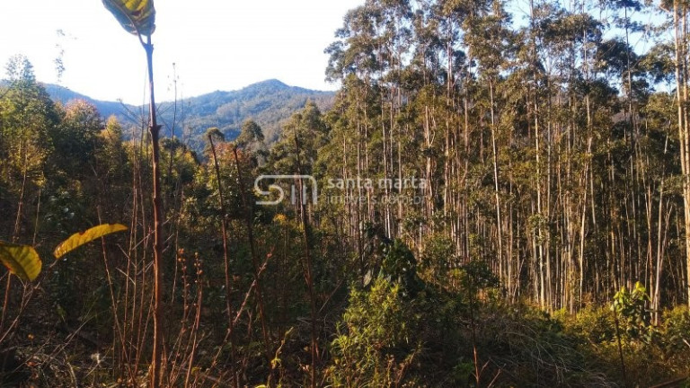 Imagem Imóvel à Venda, 1 m² em Bairro Da Tabuleta - Piquete