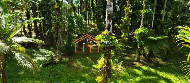 Imagem Imóvel com 2 Quartos à Venda, 27.000 m² em Rio Bonito (pirabeiraba) - Joinville Imagem Imóvel com 2 Quartos à Venda, 27.000 m² em Rio Bonito (pirabeiraba) - Joinville