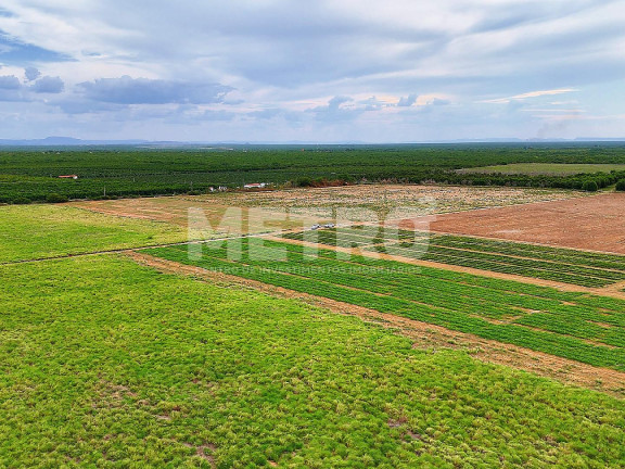 Imagem Fazenda à Venda, em área Rual - Petrolina Imagem Fazenda à Venda, em área Rual - Petrolina