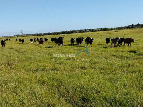 Imagem Imóvel com 4 Quartos à Venda, 5.870.000 m² em Caraiva - Porto Seguro