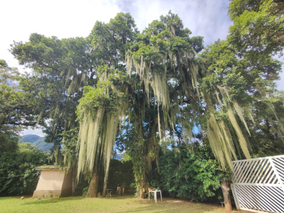 Imagem Casa com 3 Quartos à Venda, 138 m² em Paúba - São Sebastião