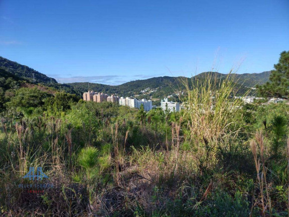 Imagem Terreno à Venda, 450 m² em Itacorubi - Florianópolis Imagem Terreno à Venda, 450 m² em Itacorubi - Florianópolis